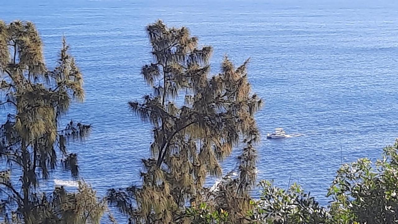 Chambre Vue Sur Mer Entre Grande Anse Et Manapany Petite-Ile Exterior photo