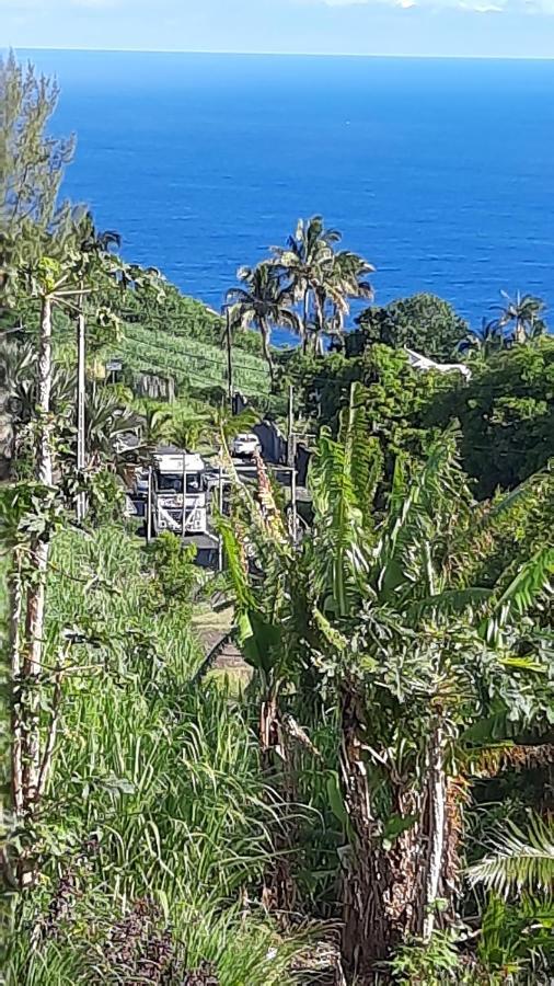 Chambre Vue Sur Mer Entre Grande Anse Et Manapany Petite-Ile Exterior photo